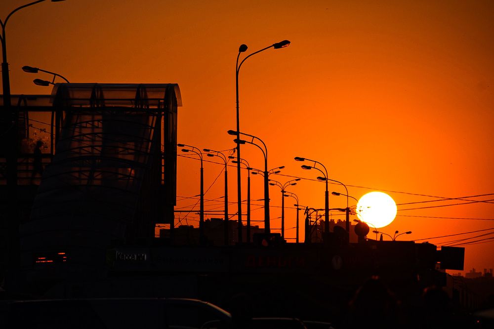 Photograph by Elvira