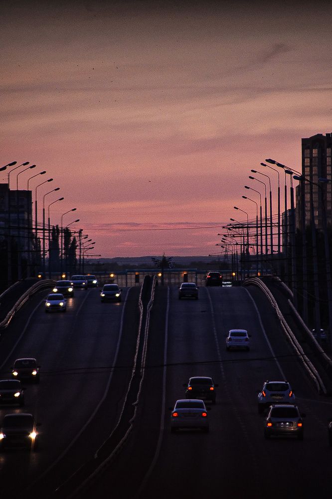 Photograph by Elvira