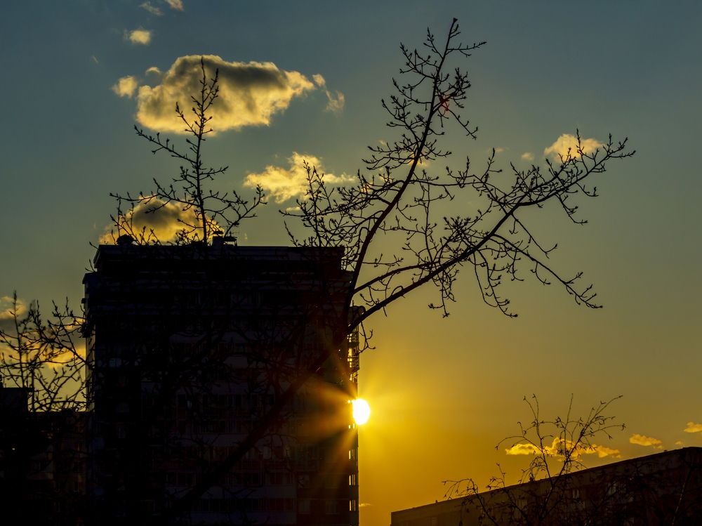 Photograph by Игорь Кутний