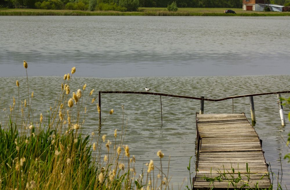 Photograph by Игорь Кутний