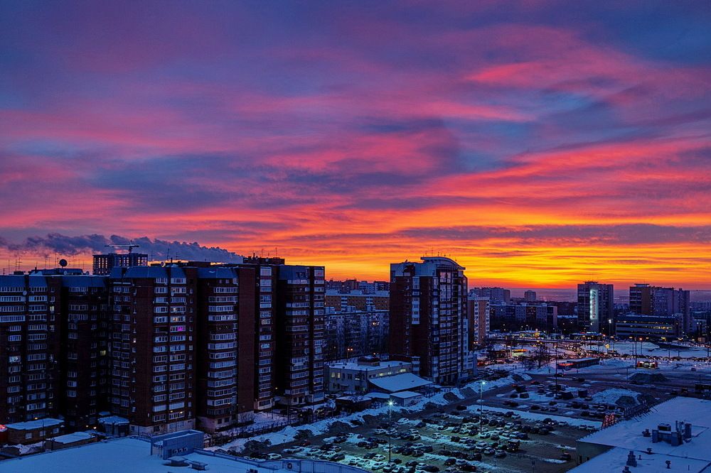 Яркие краски зимы