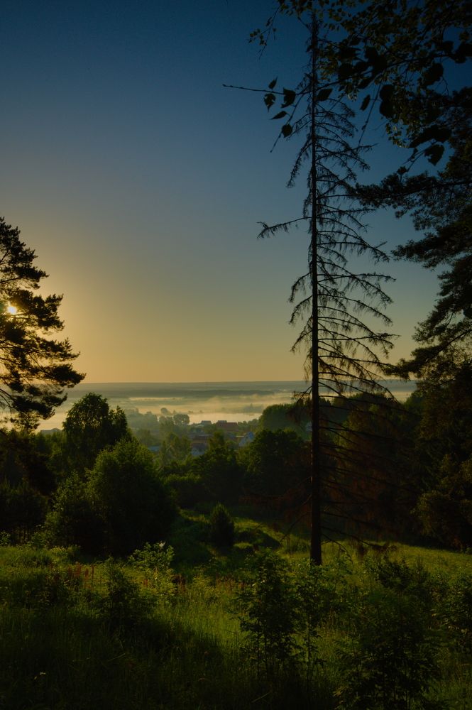 Photograph by Дмитрий Павлов