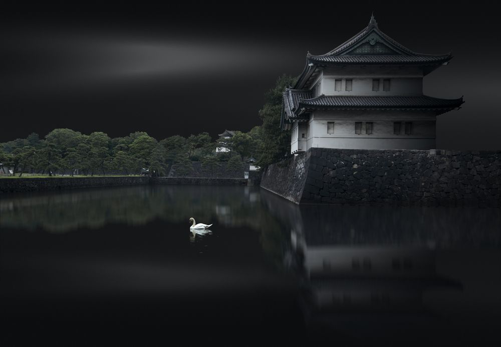 Photograph by Liu Shuchuan