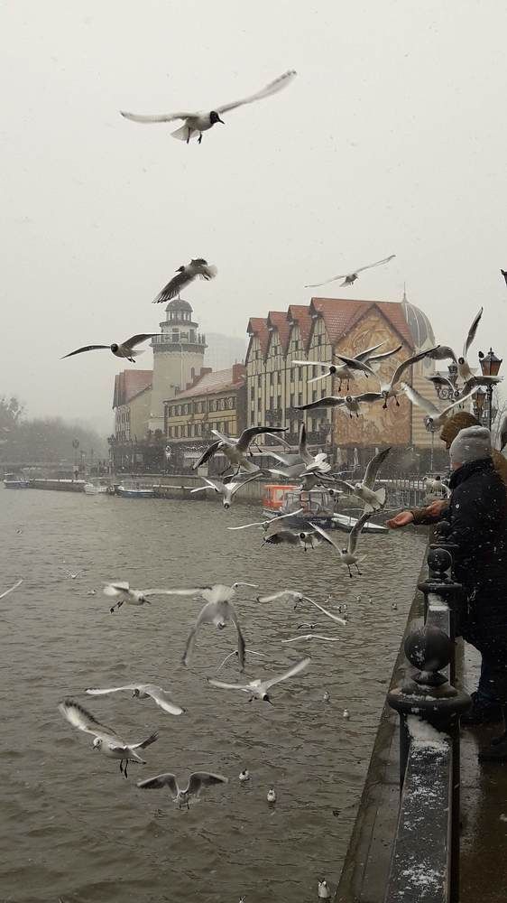 Photograph by Дмитрий Батейкин