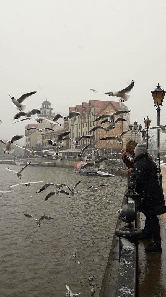 Photograph by Дмитрий Батейкин