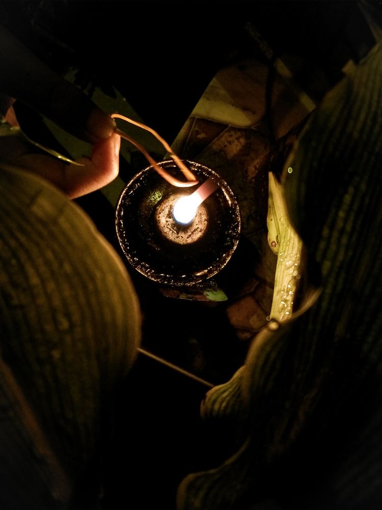 Photo #6221420