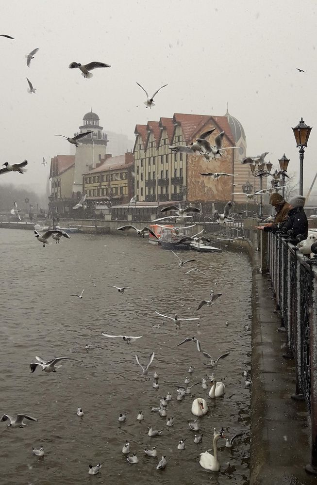 Photograph by Дмитрий Батейкин