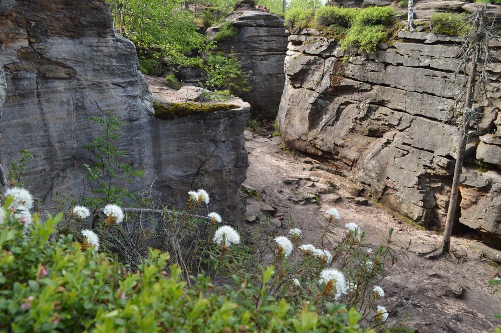 Каменный город