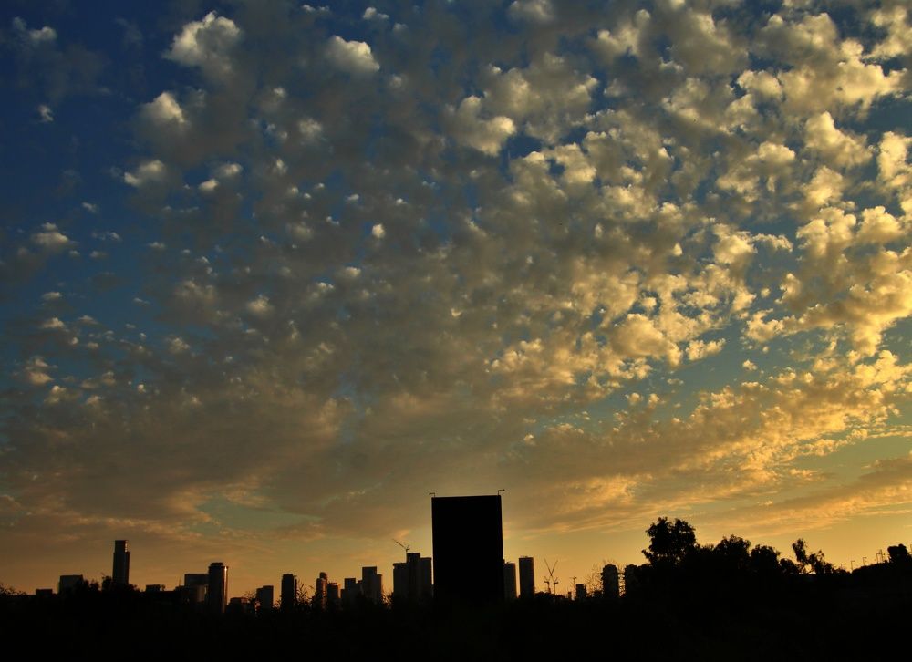 Photograph by Debbie Strauss