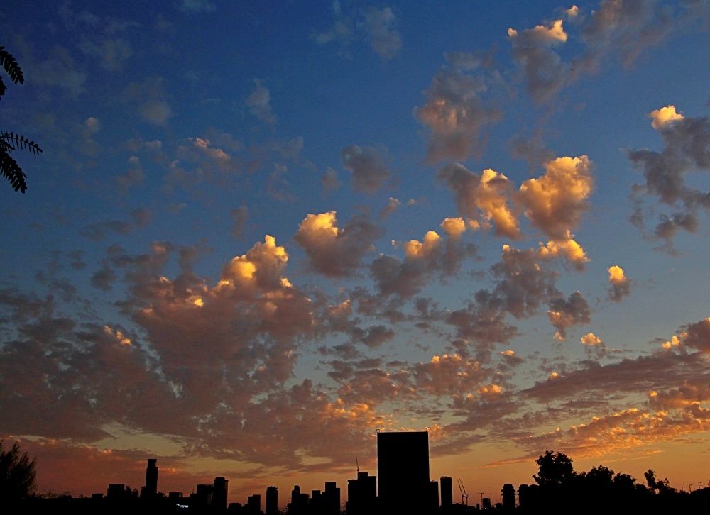 Photograph by Debbie Strauss