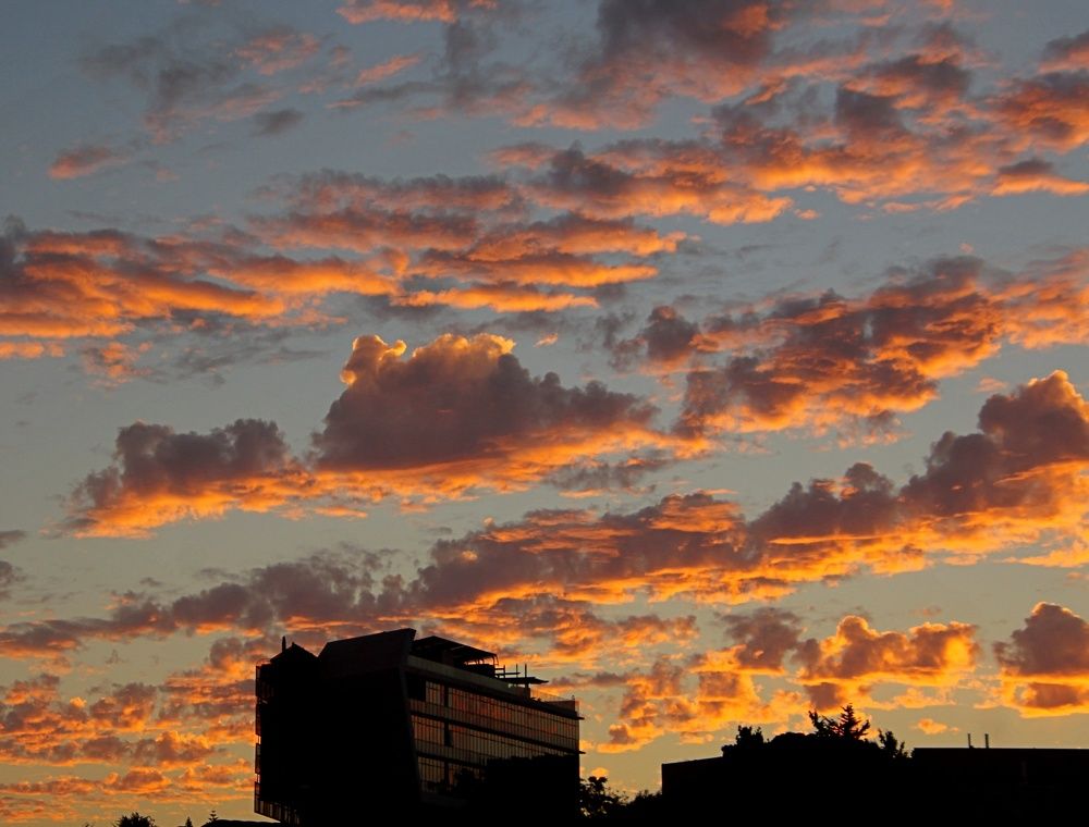 Photograph by Debbie Strauss