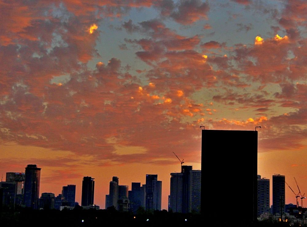 Photograph by Debbie Strauss