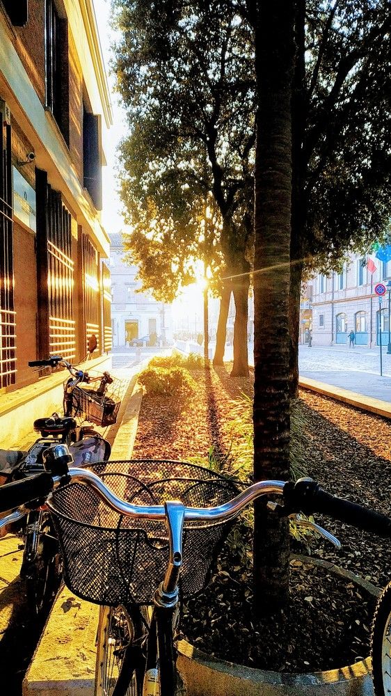 Photograph by Руслан Шулешко