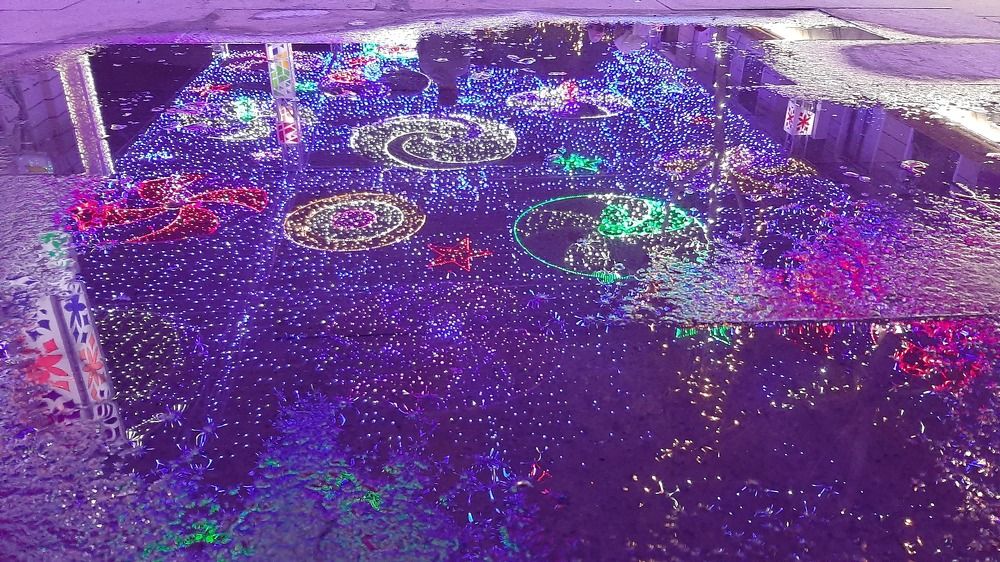 Photograph by Кайрат Карибаев