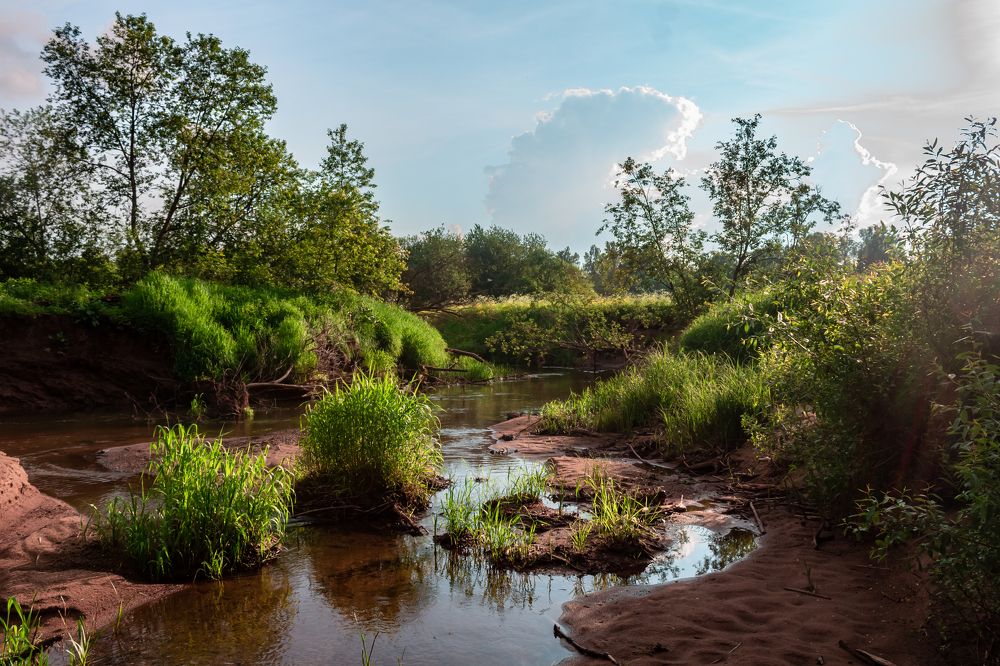 Photograph by Ковалев Николай