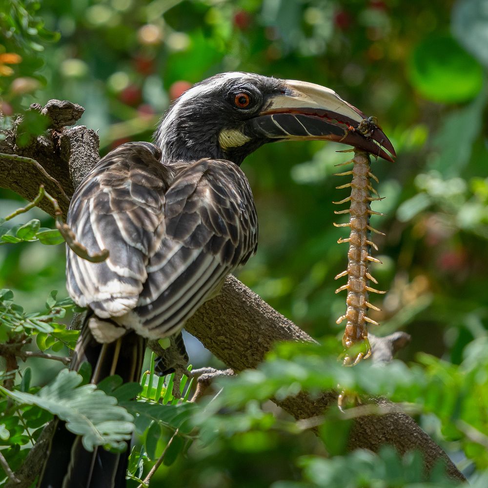 Photograph by Abdul Asif