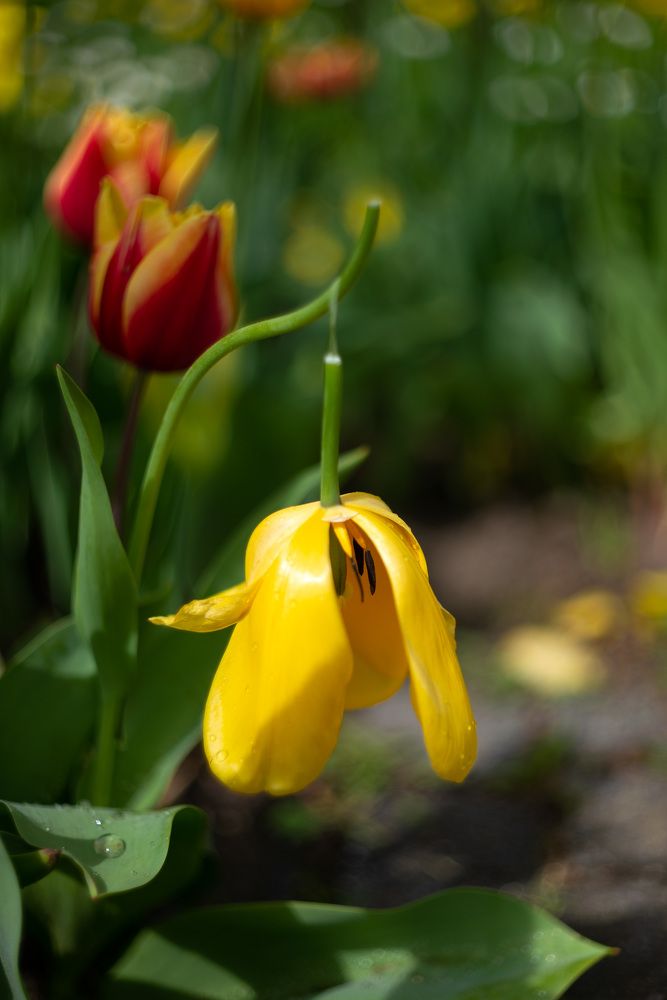 Photograph by Павел Юнусов