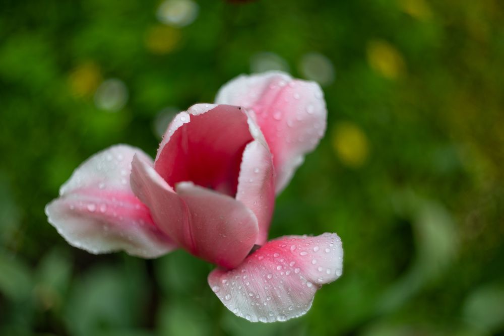 Photograph by Павел Юнусов