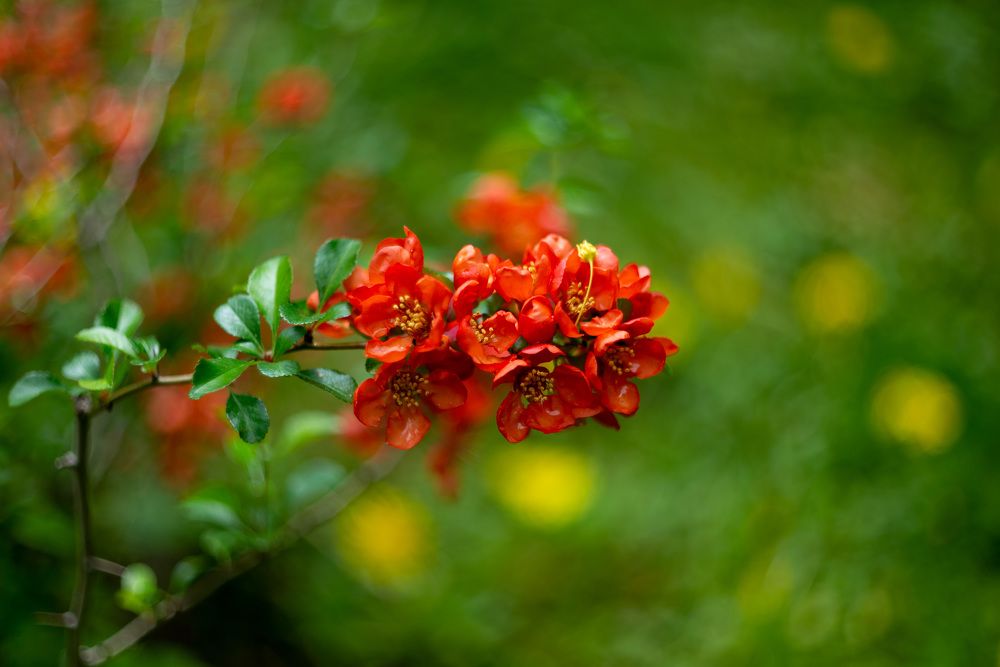 Photograph by Павел Юнусов