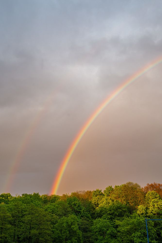 Photograph by Павел Юнусов