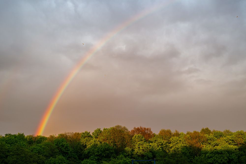 Photograph by Павел Юнусов