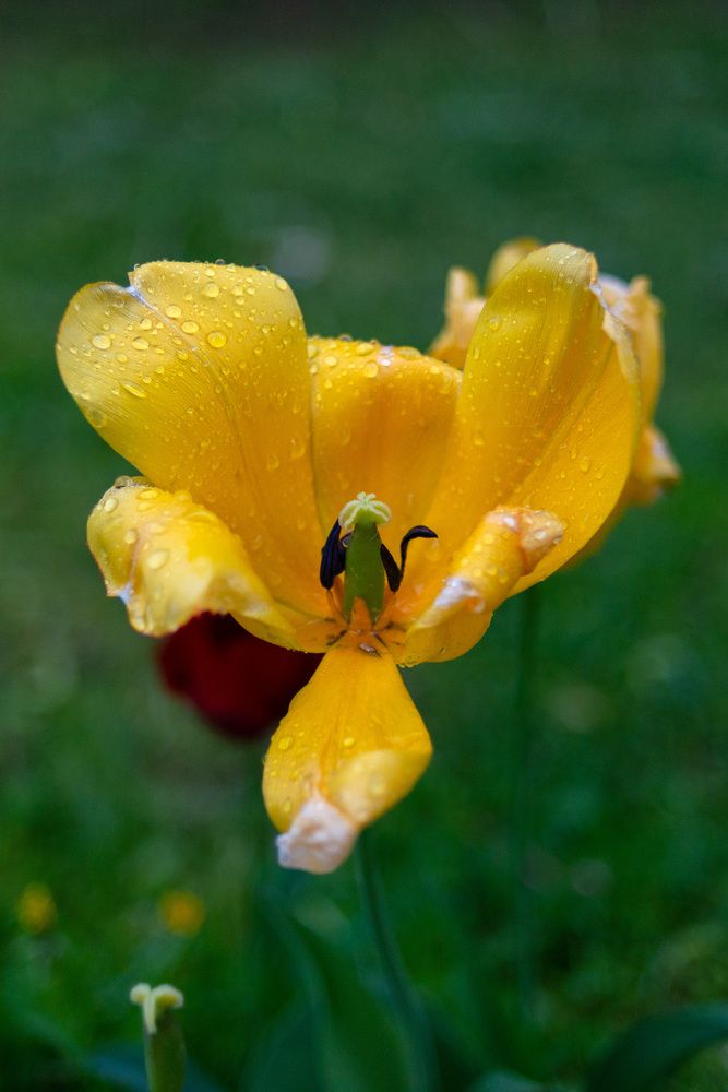 Photograph by Павел Юнусов