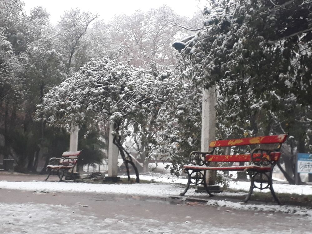 Solo nieve