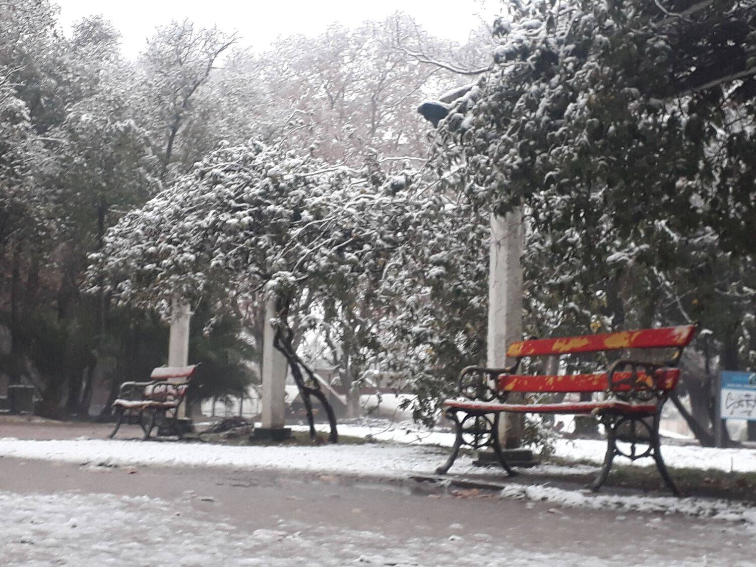 Solo nieve
