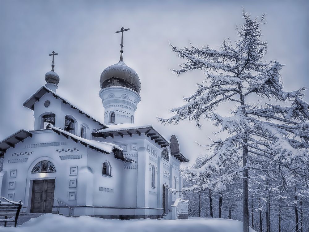 Photograph by Tatyana Romanova