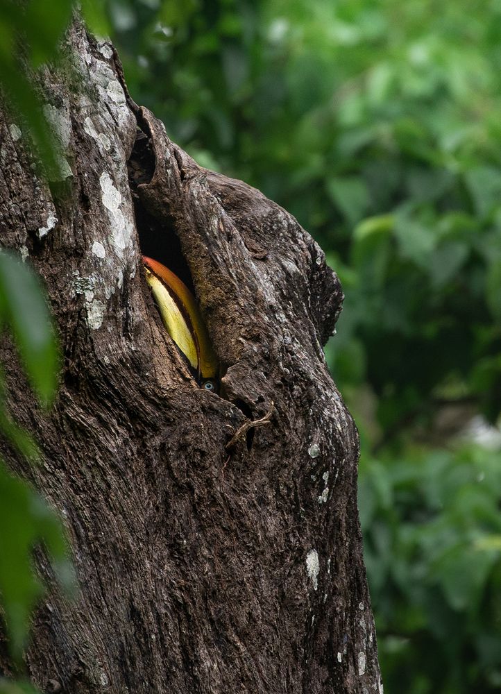 Photograph by ANKUSH CHOWDHURY