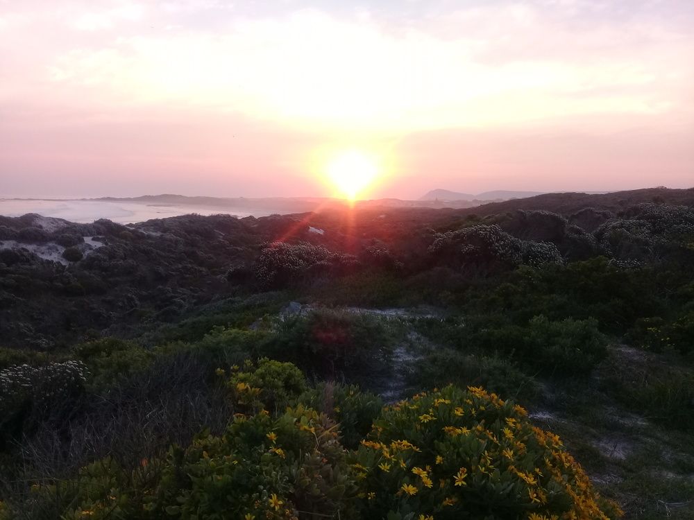 Photograph by Kwagga Kwagga