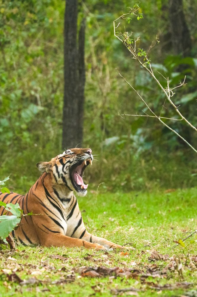 Photograph by Vinay Thallam