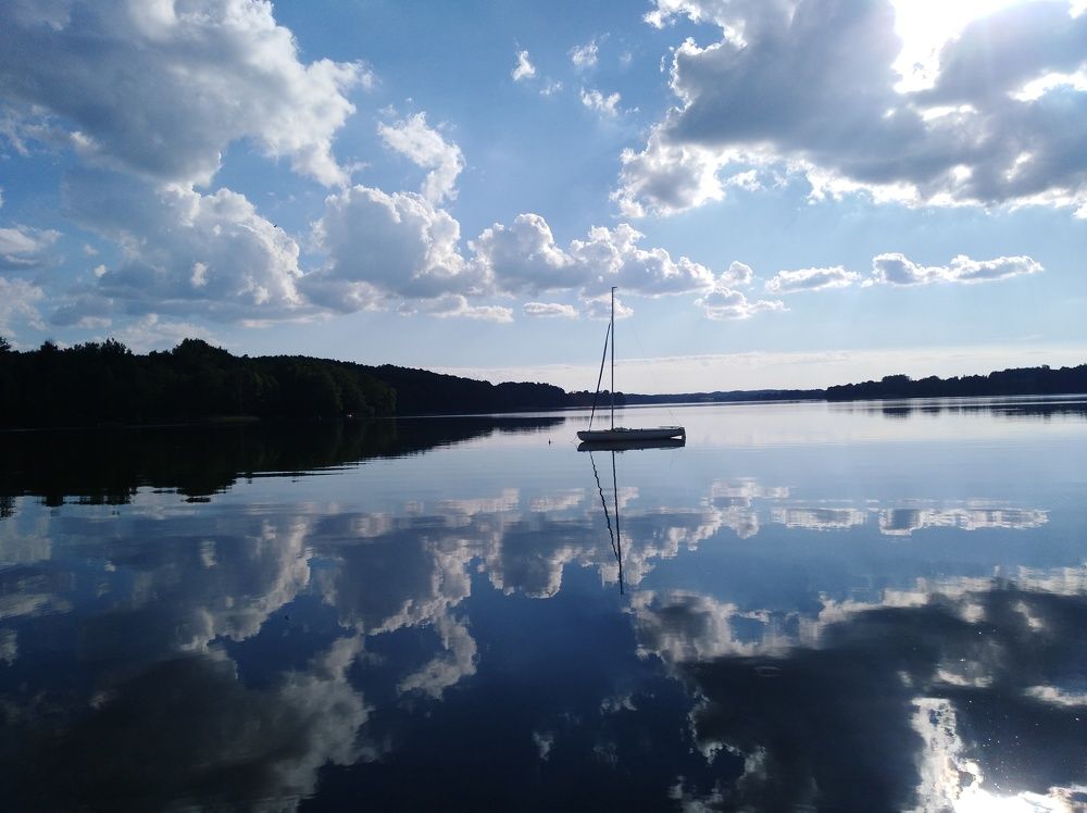 Photo #6222416