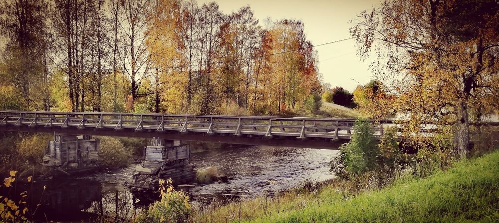 Photograph by Лариса Неудачина