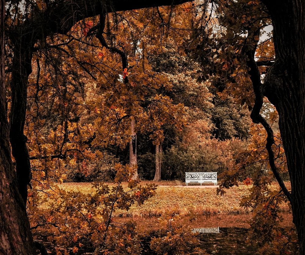 Photograph by Елена Савина