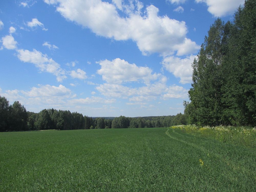 Photo #6222613