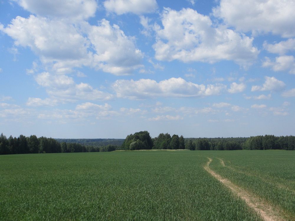 Photo #6222617