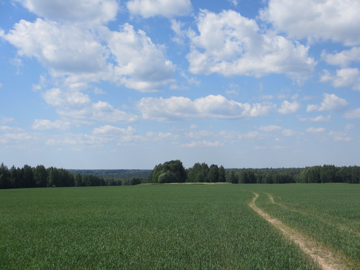 Photo #6222617