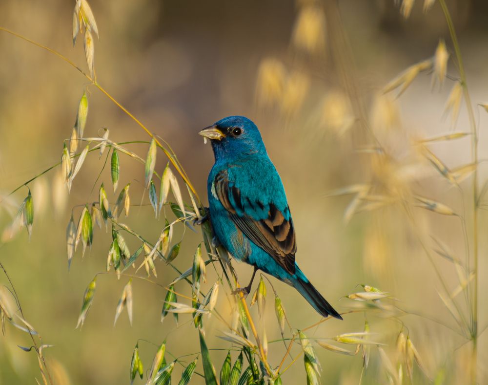 Photograph by Daniel Mérida