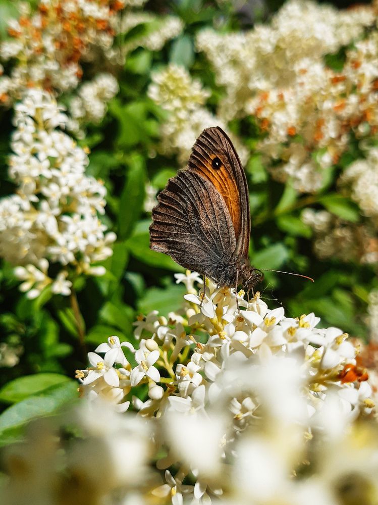 Photograph by Марина Шаповаленко