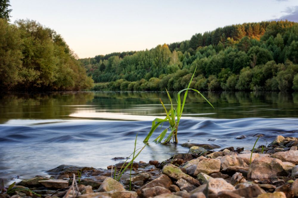 Photograph by Светлана Ващенко