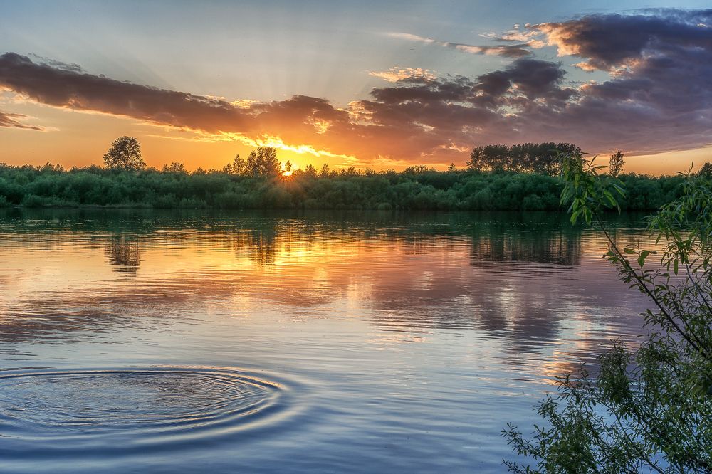 Photograph by Светлана Ващенко