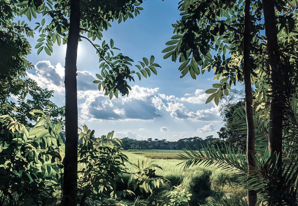 Photograph by Fyzullah Khan Shebly