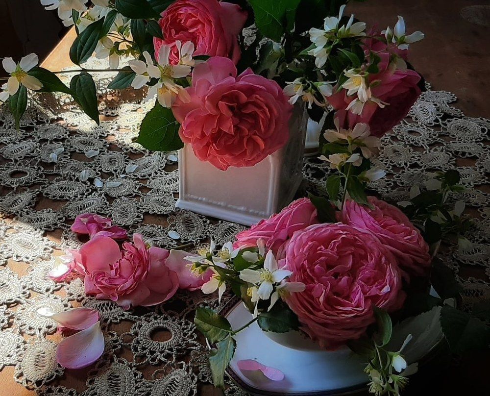 Кёльнер флора