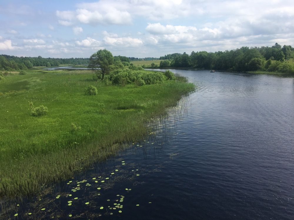 Фотография автора Ольга Горюнова