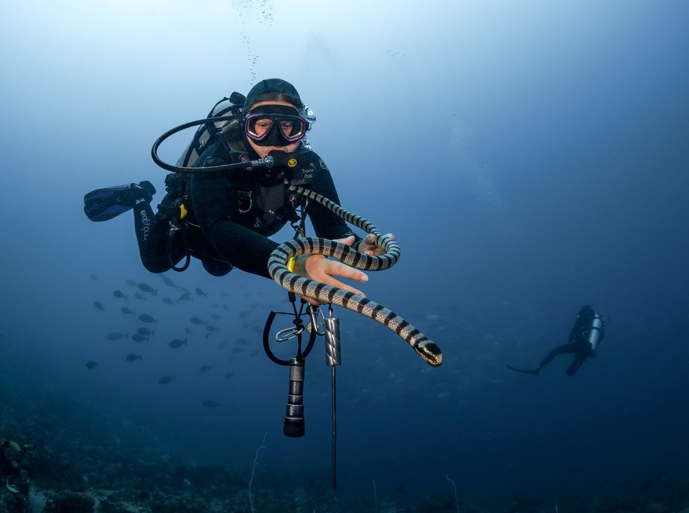 Воспитание чувств....