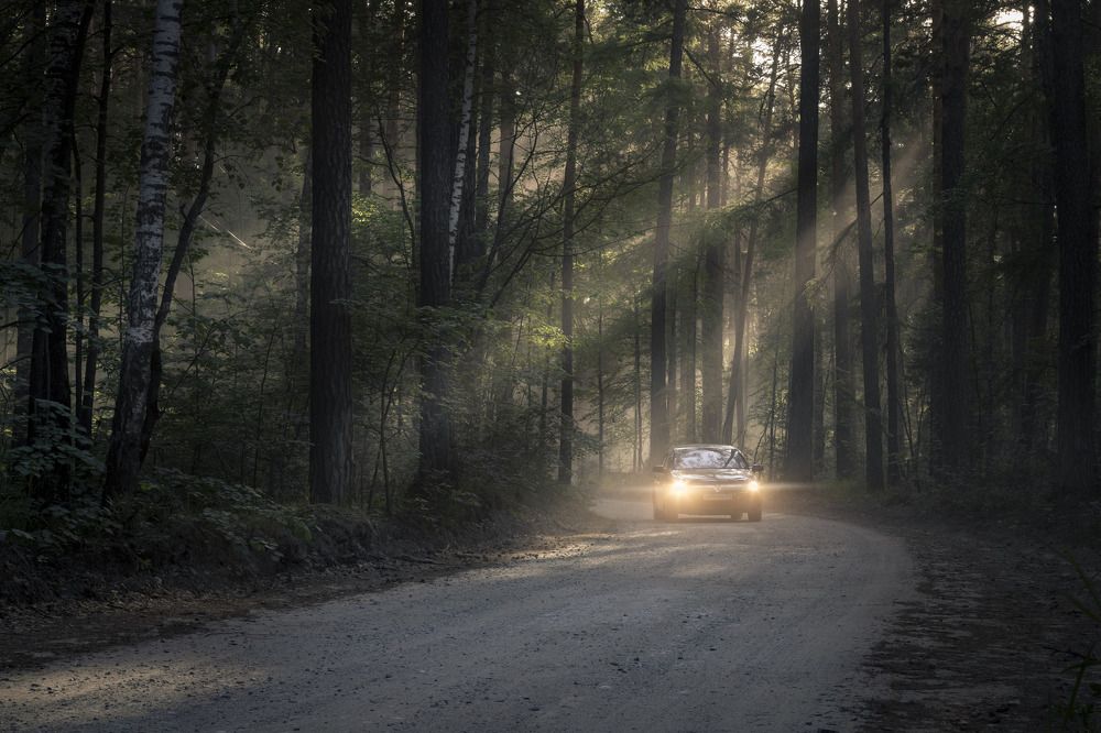 Photograph by Ринат Шайдулин