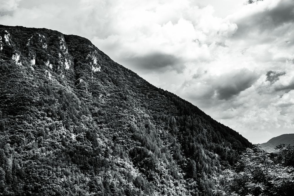 Photograph by Ludovica Maria Amodeo