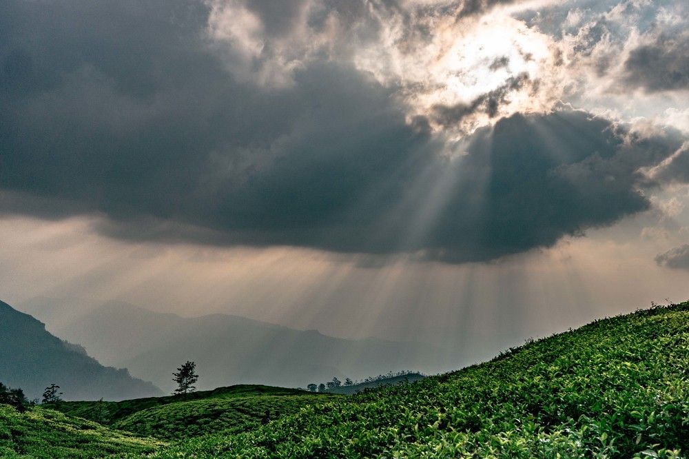 Photograph by Sasitha Anuranga