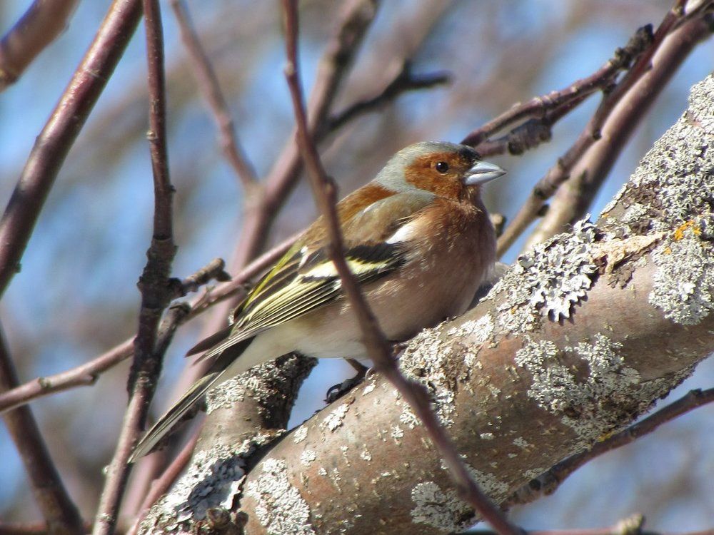 Photograph by Екатерина Лобанова